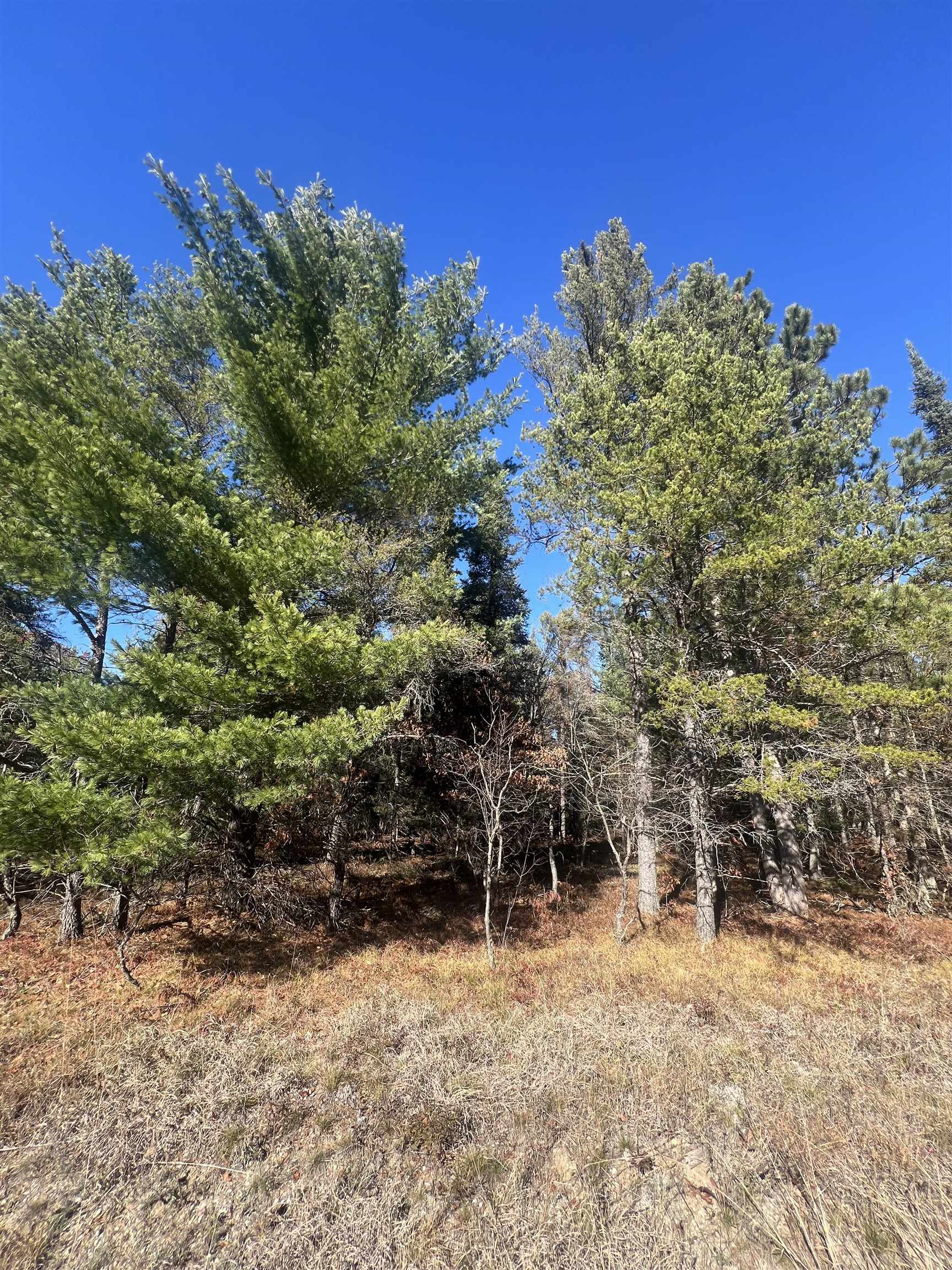 Land in Lovells Township 3