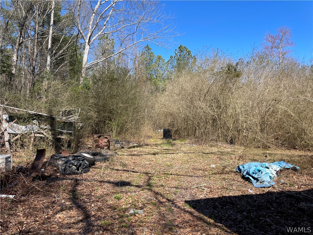 Ray Bass Rd, Gordo, AL 35466