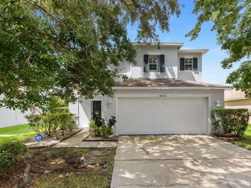 18933 Sunterra Dr, LAND O LAKES, FL, 34638-2627 | Card Image