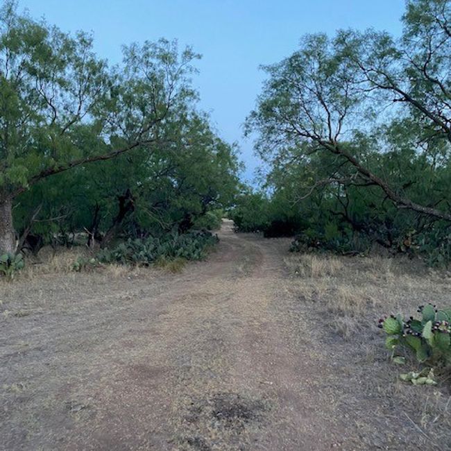000 Private Rd 3922, Home with 0 bedrooms, 0 bathrooms and null parking in Miles TX | Image 12