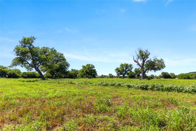 View of undeveloped land featuring rural landscape | Image 33