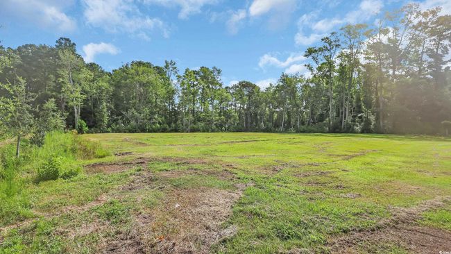 3845 Hillside Dr, Home with 0 bedrooms, 0 bathrooms and null parking in Conway SC | Image 17