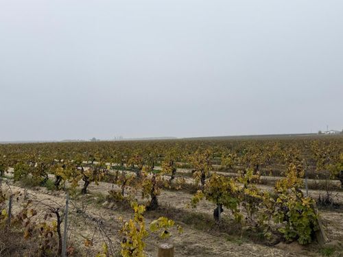 13242 S Willow Ave, Selma, CA, 93662-9634 | Card Image