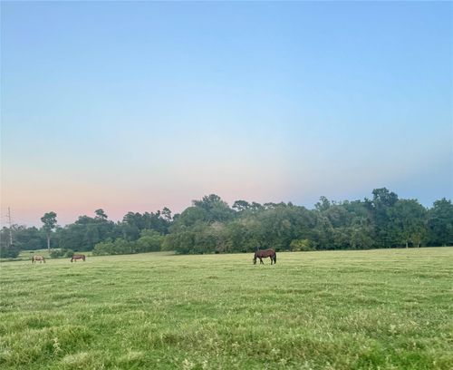 75 Spring Branch Rd, Montgomery, TX, 77316 | Card Image