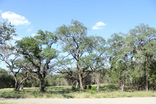 56 Travis Oaks Dr, Marble Falls, TX, 78654 | Card Image
