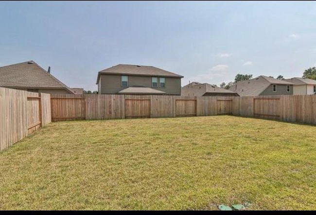 big backyard | Image 21
