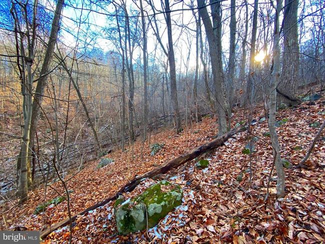00 Hickory Tree Rd, Home with 0 bedrooms, 0 bathrooms and null parking in FRONT ROYAL VA | Image 13