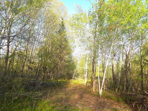 000 Starch Rd, Bruno, MN, 55712 | Card Image