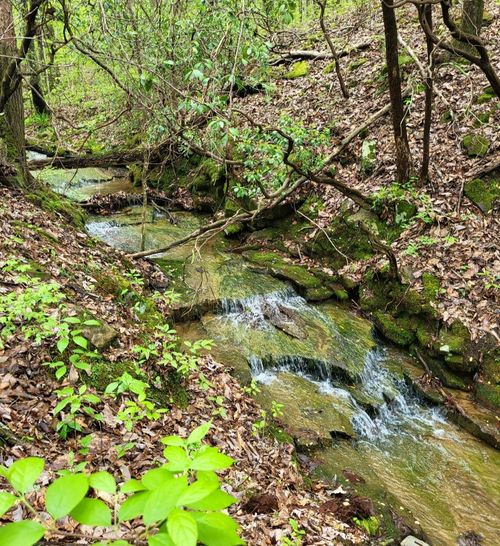 9004 Hondo Loop, Crossville, TN, 38572 | Card Image