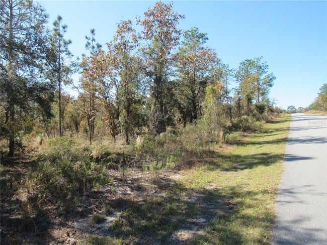 Premier One- Acre (.99) New Build Site Level & Dry Located In Lovely Rainbow Lakes Estates, An Established Community With New Areas. Just Minutes To Dunnellon's Town Square, Homer Of The World Famous Rainbow and Withlacoochee Rivers! | Image 1