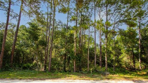 7176 Norway St, WEBSTER, FL, 33597 | Card Image