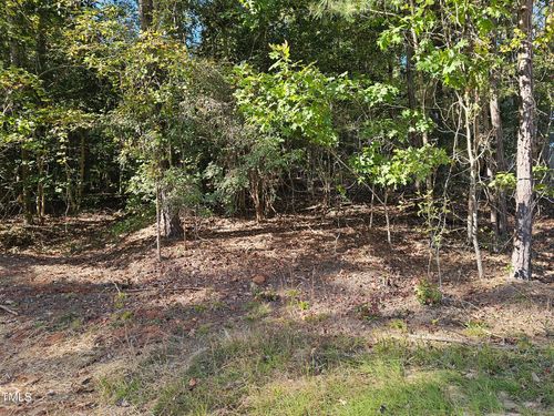 244 Sequoia Dr, Louisburg, NC, 27549 | Card Image
