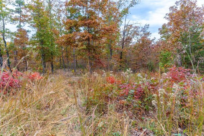 5 - 0 Highway Jj, Home with 0 bedrooms, 0 bathrooms and null parking in Marquand MO | Image 23
