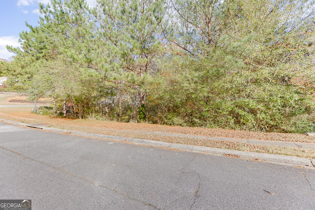 Land in Flowery Branch 5