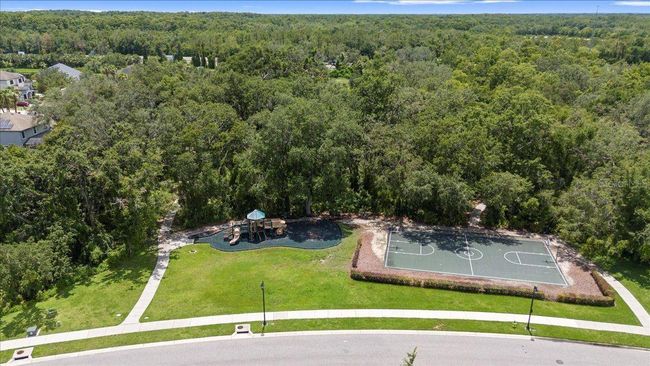 20020 Outpost Point Dr, House other with 4 bedrooms, 3 bathrooms and null parking in TAMPA FL | Image 78