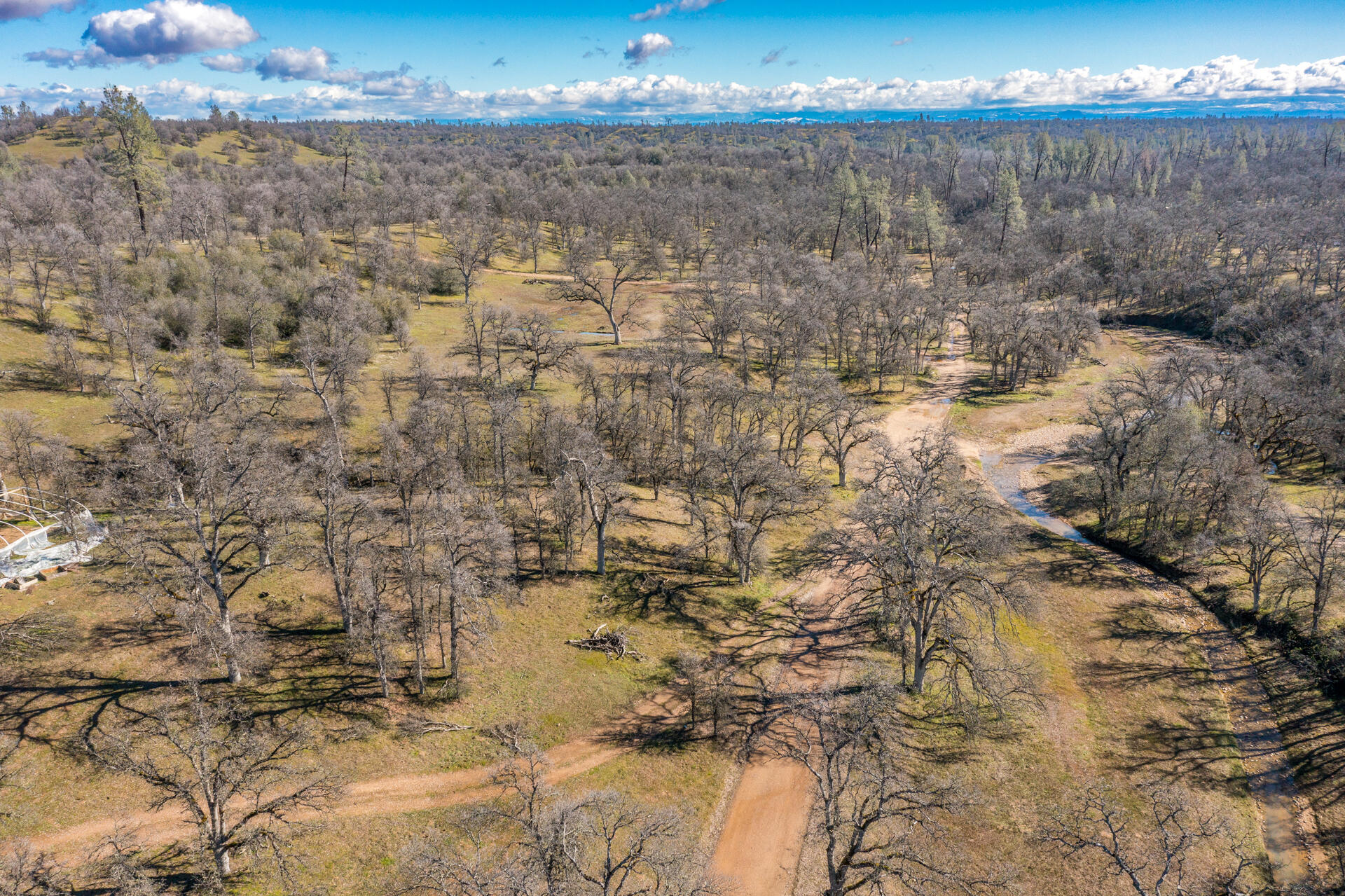 Land in Cottonwood 2