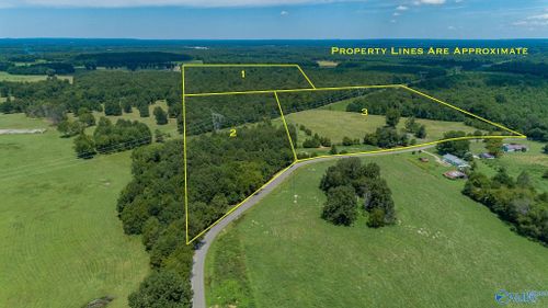 98.20 acres County Road 23, Mount Hope, AL, 35651 | Card Image