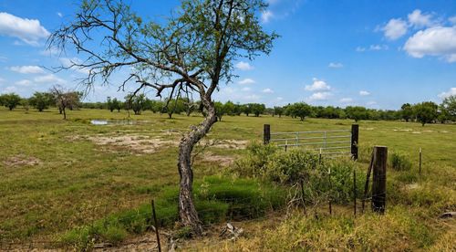 13530 Moody Rd, Needville, TX, 77461-8061 | Card Image