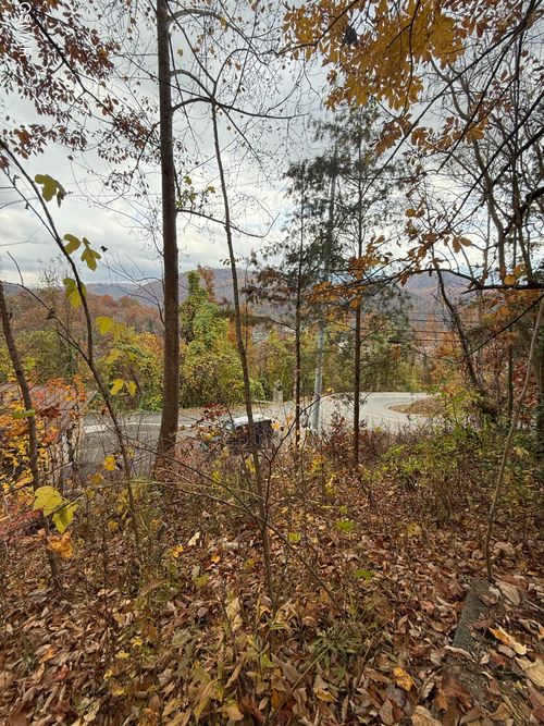 278 Greystone Heights Rd, Gatlinburg, TN, 37738-3026 | Card Image