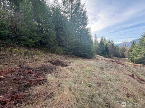 115 Ridge Ln, Packwood, WA, 98361 | Card Image
