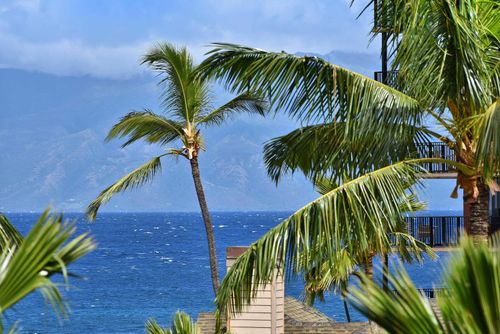 450-3445 Lower Honoapiilani Rd, Lahaina, HI, 96761-9414 | Card Image