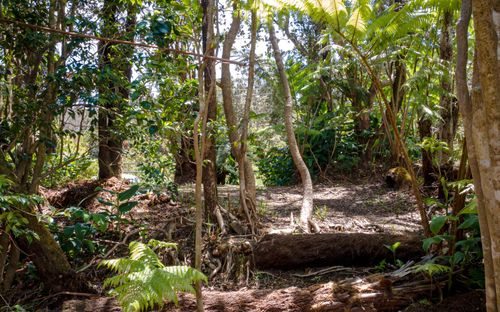 19-4144 Haunani Rd, VOLCANO, HI, 96785 | Card Image