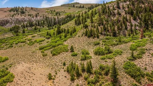 3610 6200 Mm134 Road, Olathe, CO, 81425 | Card Image