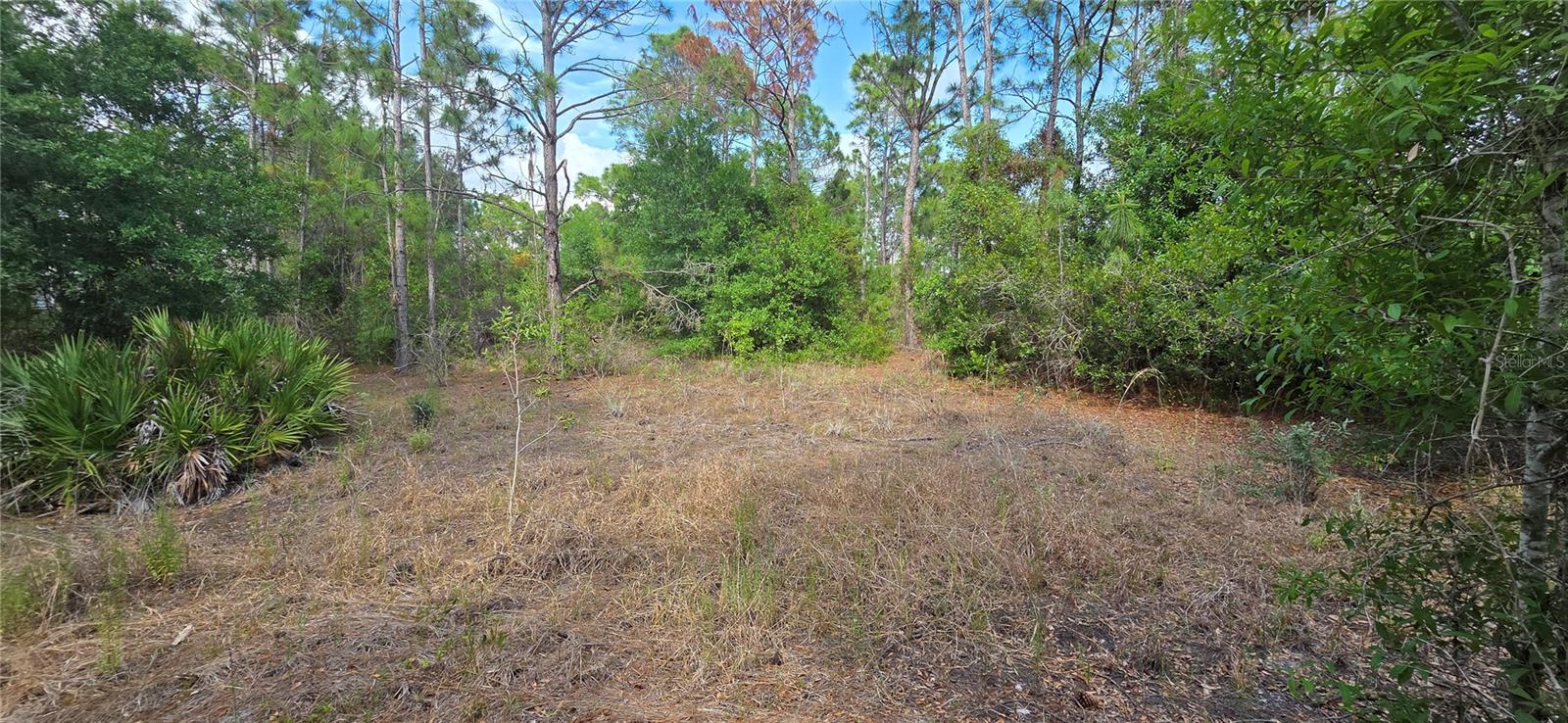 Land in PUNTA GORDA 2