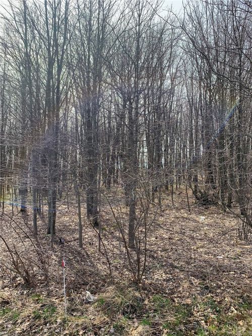 1 Schuchert Ln, Markleysburg, PA, 15459 | Card Image