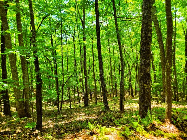 140 Treehouse Trl, Home with 2 bedrooms, 2 bathrooms and null parking in Murphy NC | Image 6