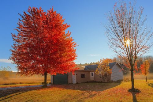 9297 Kingsfield Dr, Kingsley, MI, 49649-9468 | Card Image