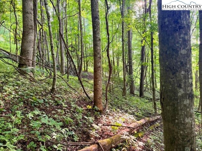 1 Oak Trail, Home with 0 bedrooms, 0 bathrooms and null parking in Creston NC | Image 13