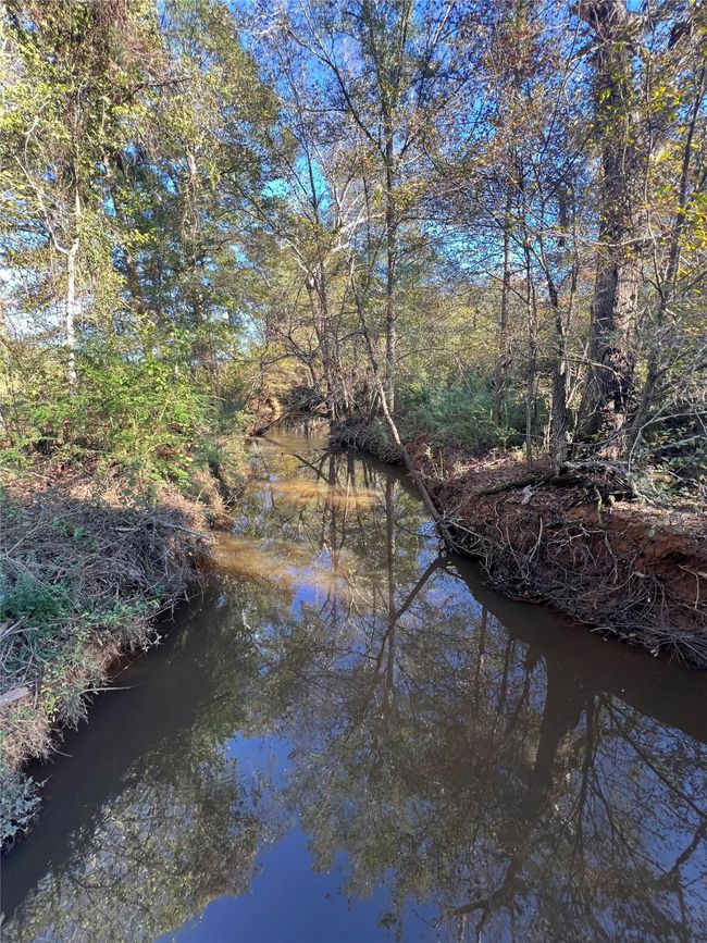 00 County Road 3206 W, Home with 0 bedrooms, 0 bathrooms and null parking in Mount Enterprise TX | Image 11