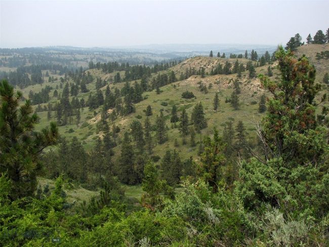 SC-25 - TBD Lone Rock Canyon Lane, Home with 0 bedrooms, 0 bathrooms and null parking in Hysham MT | Image 6