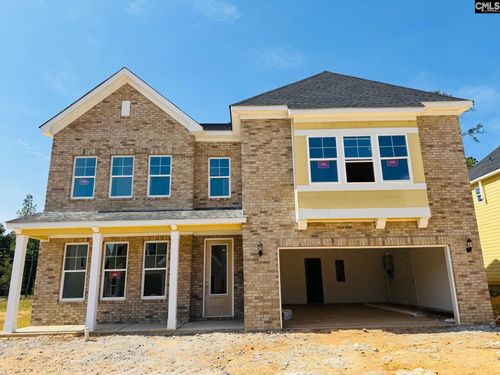 322 Rising Stream Way, Chapin, SC, 29036 | Card Image