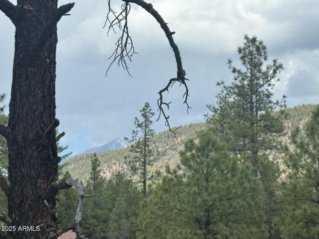 Land in Flagstaff