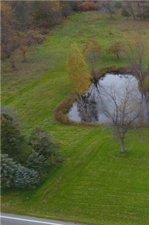 371 Lake Road East Frk, Hamlin, NY, 14464-9702 | Card Image