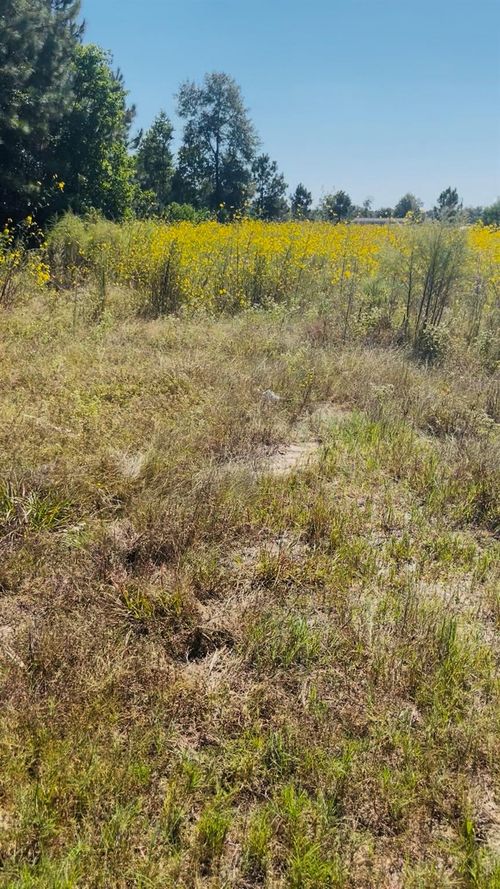 388 County Road 5017, Cleveland, TX, 77327-3140 | Card Image