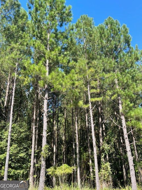 0 Sandy Grove Church Rd, Warrenton, GA, 30828 | Card Image