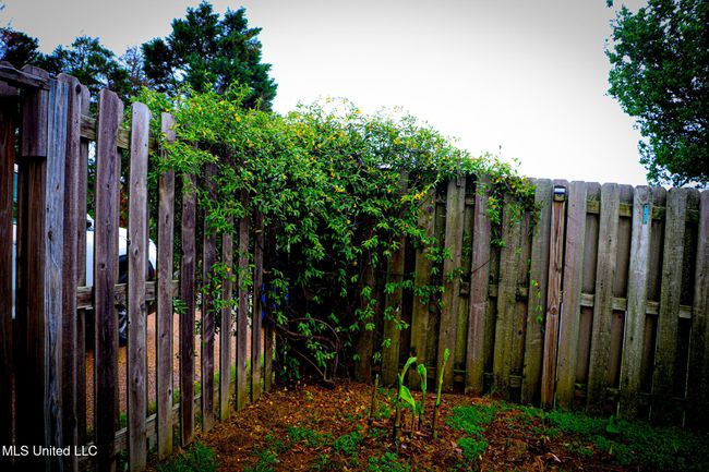Stone Cross Backyard Beauty | Image 9