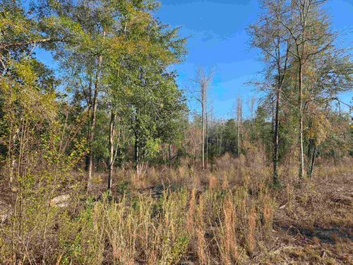 XXX Ne State Road 20, Hosford, FL, 32334 | Card Image