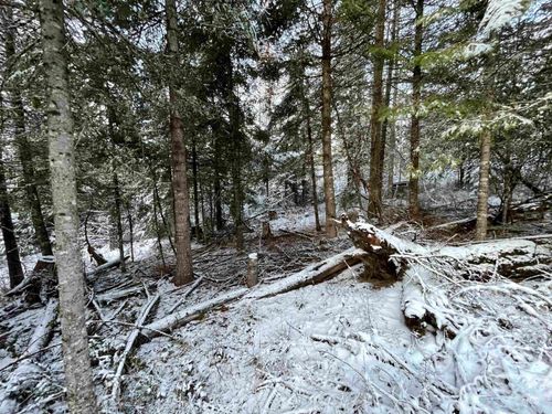 NKA Highway 8, Deary, ID, 83823 | Card Image