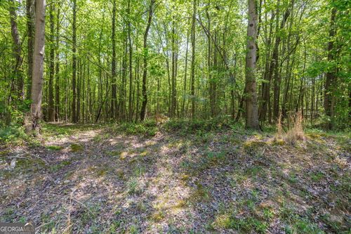 230 Dyer Rd, Gillsville, GA, 30543-4101 | Card Image
