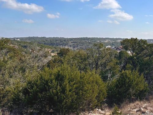 0 Tbd Labrusca, New Braunfels, TX, 78132 | Card Image