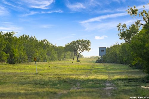 TBD County Road 401, Freer, TX, 78357 | Card Image