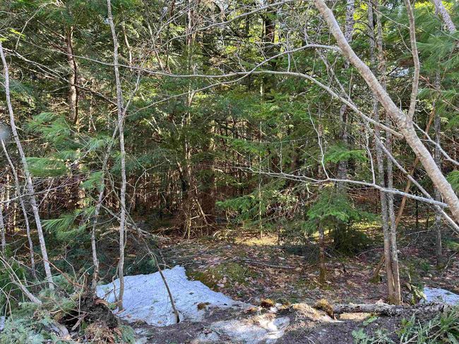 00 Sniderbrook Rd, Home with 0 bedrooms, 0 bathrooms and null parking in Westfield VT | Image 7