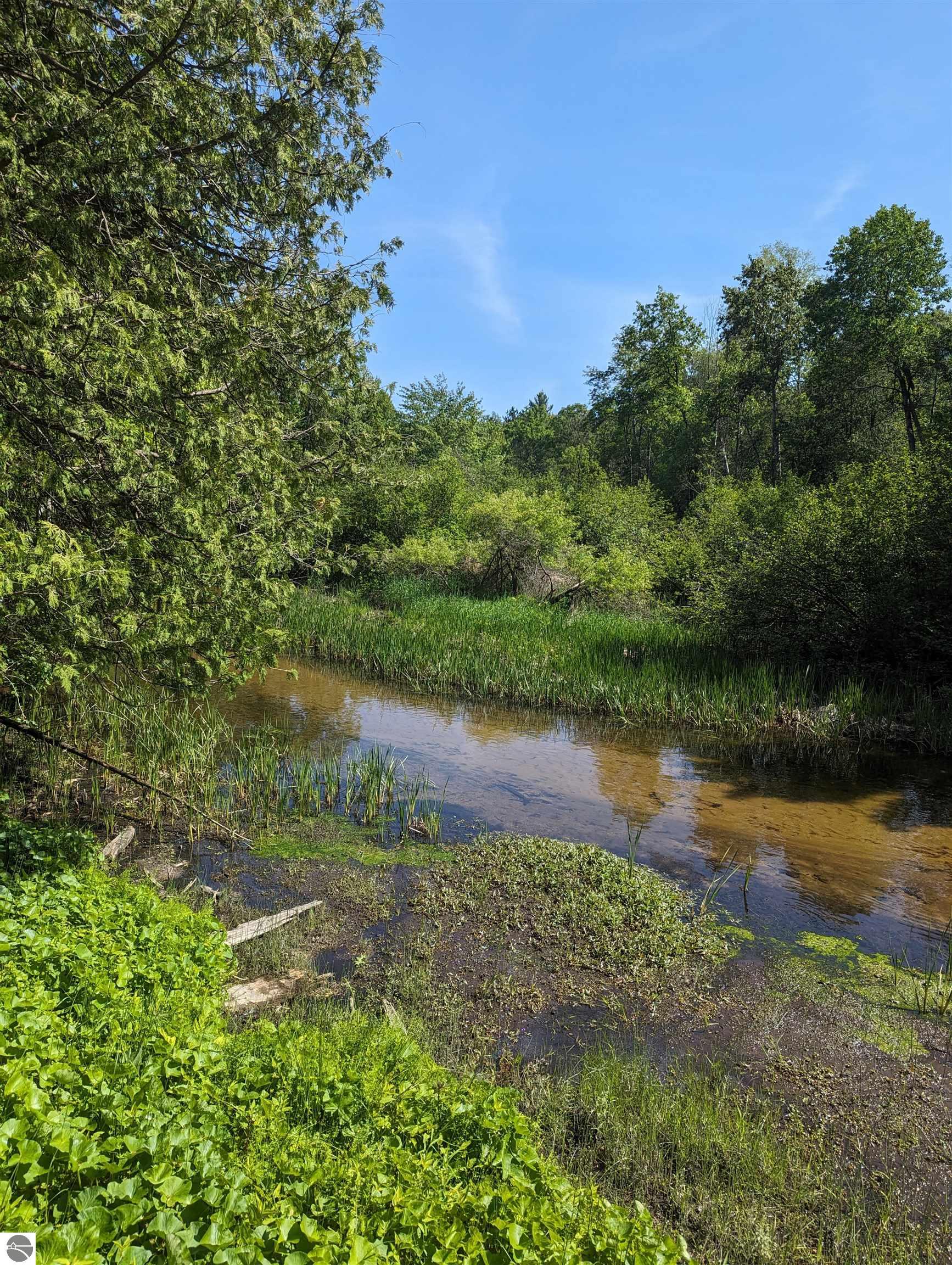 Lotan Rd, Lake City, MI 49651