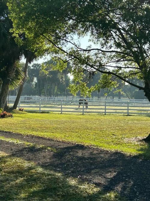 14095 Biddex Rd, LOXAHATCHEE, FL, 33470-4631 | Card Image