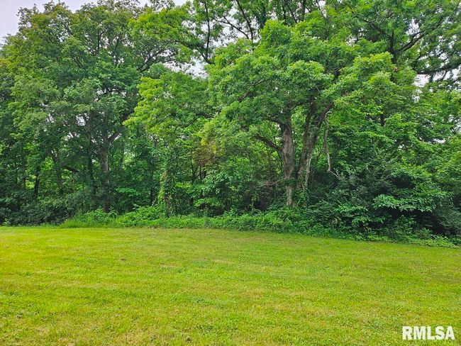 13973 Halliday Rd, Home with 2 bedrooms, 1 bathrooms and null parking in Plainview IL | Image 59