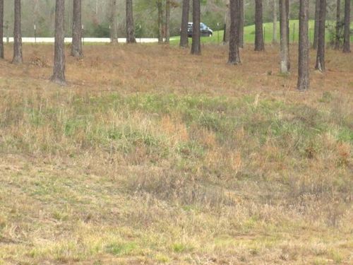 17 Josie Dr, Ellisville, MS, 39437-4800 | Card Image